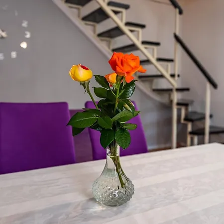 Apartman Best * Novigrad (Dalmatia)