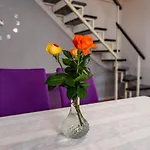 Apartman Best * Novigrad (Dalmatia)