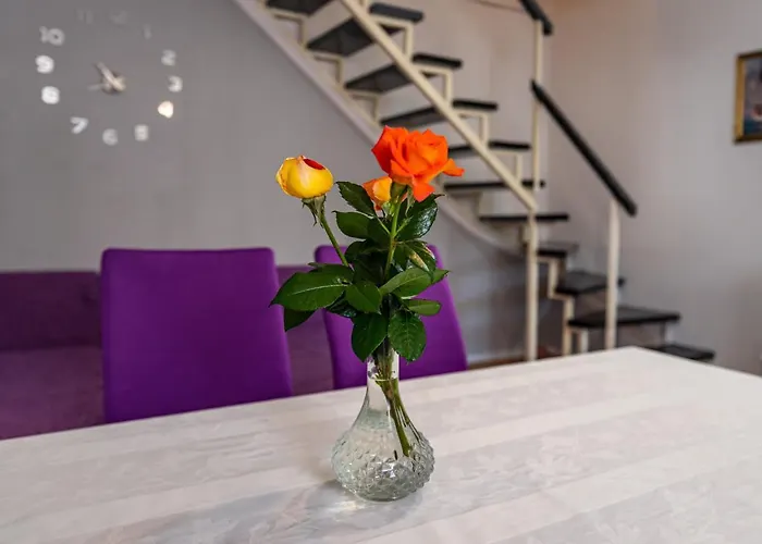 Apartman Best * Новиград-Далмация